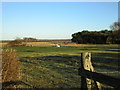 Paddock at Haxey Carr