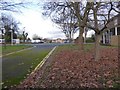 Fallen leaves at Wyvern Barracks, Exeter