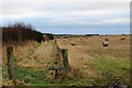 Boundary Fence