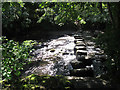 Stepping stones across the Teign