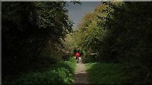 SP7483 : Brampton Valley Way, near Market Harborough - cyclists & threatening weather by Colin Park