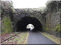 N3749 : Tunnel on the Athlone to Mullingar Cycleway in Stokestown, Co. Westmeath by JP
