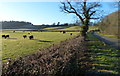 Oaks Road in the Black Brook Valley