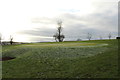 Golf Course, Maybole