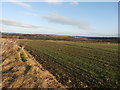 Farmland near Lundwood