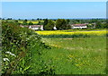 Farmland at Woolsthorpe By Belvoir