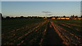 On Jurassic Way - heading towards Gretton at sunset