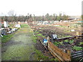 Pooley Green - Allotments