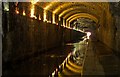 Colourful lighting in Falkirk Tunnel