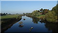 The R Dee, NW of the bridge at Holt near Wrexham