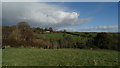 The Lost Gardens of Heligan - View towards Peruppa Farm