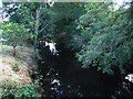 SX8386 : River Teign downstream of Batts Brook Bridge by Stephen Craven