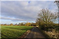 Track to Casthorpe Farm