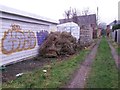 West Southbourne: graffiti and garden waste on footpath H07