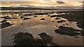 Mud and seaweed of the Beauly Firth