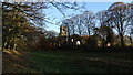 View through trees to Gawsworth Church from path to W