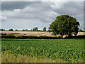 Farmland near Tetchill in Shropshire