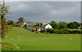 Grazing south-west of Tetchill, Shropshire