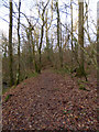 Daff Glen footpath