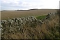 Stubble, Easter Balrymonth Hill