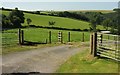 Farm entrance at Sina