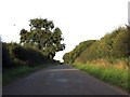 Rural road to Cuxham