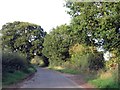 Rural road to Cuxham