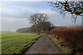 Access Track leading to Widdington Hall Farm