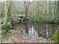 Lower feeder pond for swimming pool in Seckar Wood