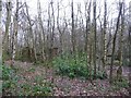 Unfinished summerhouse in Seckar Wood