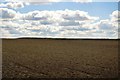 Farmland, Windmill Hill