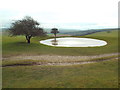 TQ3213 : Pond on the South Downs, near Ditchling Down by Malc McDonald