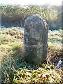 Turnpike milestone [2]