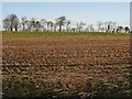 Field of stubble