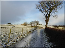 H3374 : Country lane, Carony by Kenneth  Allen
