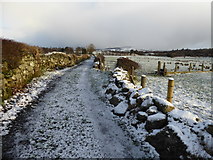 H3374 : Snow along a country lane, Carony by Kenneth  Allen