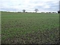 Farmland, Houghton Green