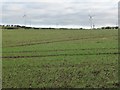 Newly erected wind turbines, near Mount Pleasant