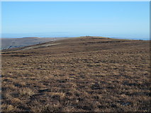 NY8140 : The moorland ridge between Lamb's Head and Highwatch Currick by Mike Quinn