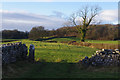 SD4878 : Fields near Coldwell Farm by Ian Taylor