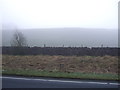 Stone wall and grazing beside the A65