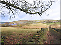 Walled Track near Leeming Reservoir