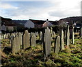 Headstones in a Newbridge graveyard