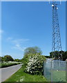 Transmitter mast along Wyville Road