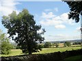 View from the entrance road to Black Hedley