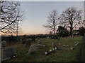 St Andrew, Hasketon: churchyard