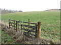 Borders gate and pasture