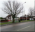 SJ2572 : Tree and bus shelter at the SE edge of Flint by Jaggery