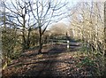 The Trans Pennine Trail near Royston