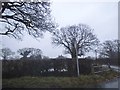 Hornecourt Hill at the junction of Whitewood Lane